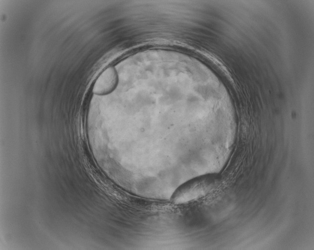 X0000067390887200604211630