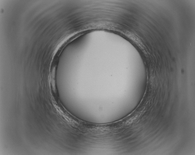 X0000067390888200604211630