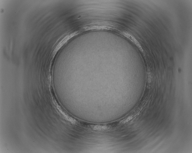 X0000067390890200604211630