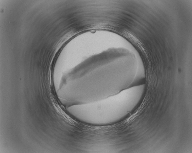 X0000067390892200604211630