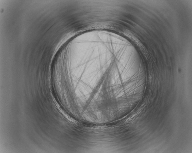 X0000067390894200604211630