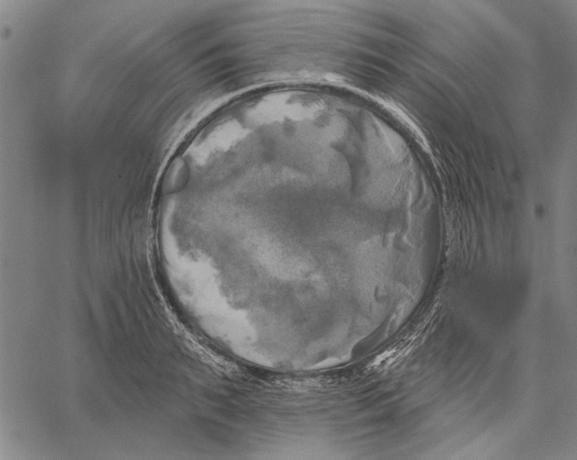 X0000067390895200604211630