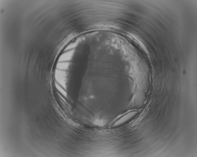 X0000067390899200604211630