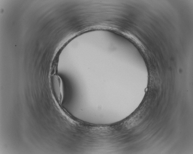 X0000067390902200604211630