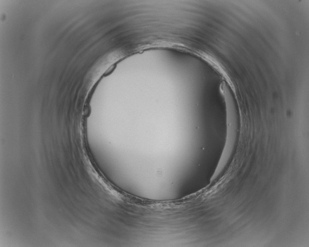 X0000067390906200604211630