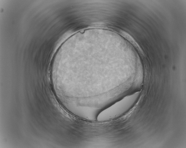 X0000067390908200604211630