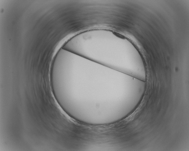 X0000067390910200604211630