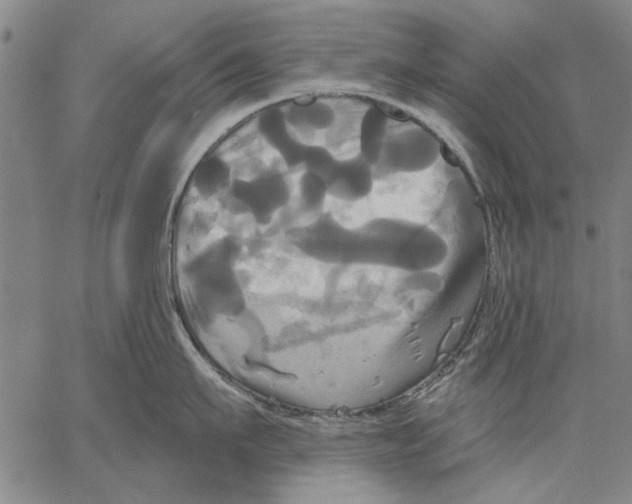 X0000067390911200604211630