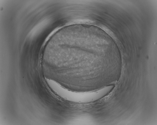 X0000067390912200604211630