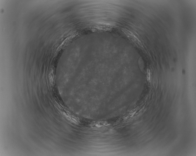 X0000067390915200604211629