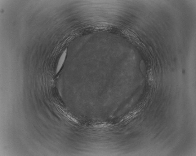 X0000067390916200604211629