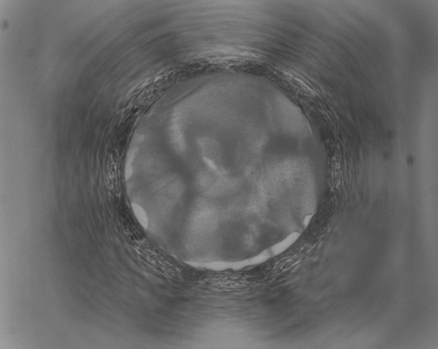 X0000067390917200604211629