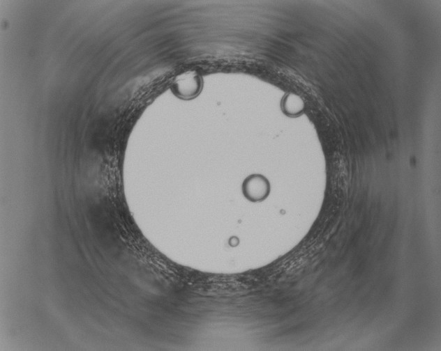 X0000067390918200604211629