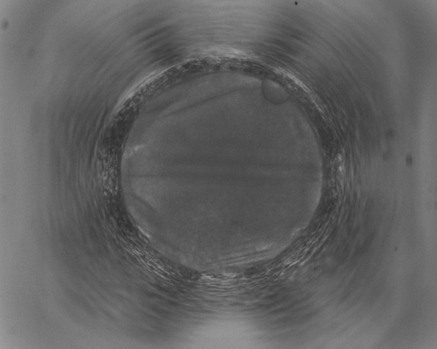 X0000067390919200604211629