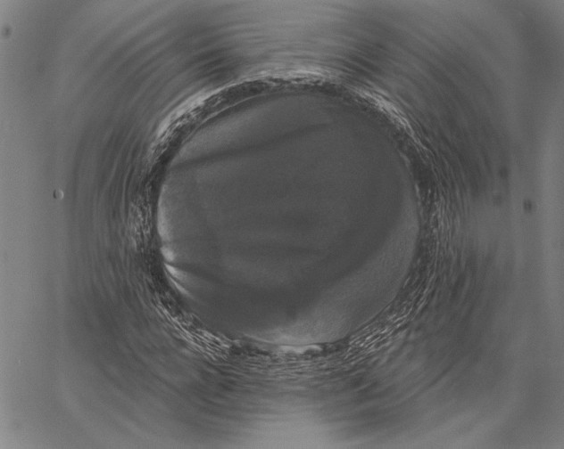 X0000067390920200604211629