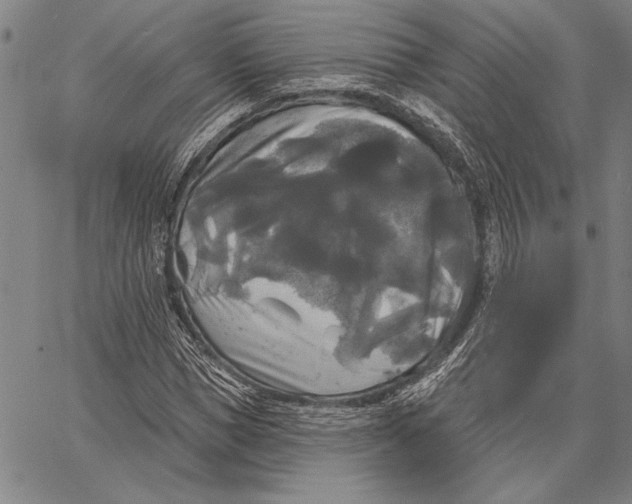 X0000067390921200604211629