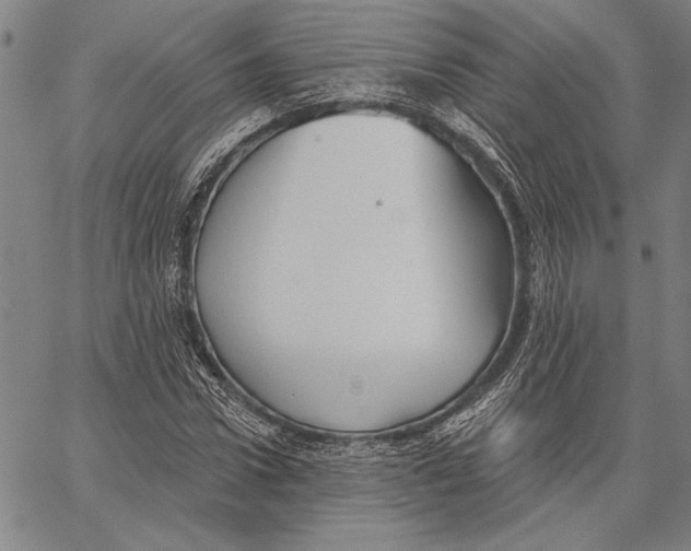 X0000067390922200604211629