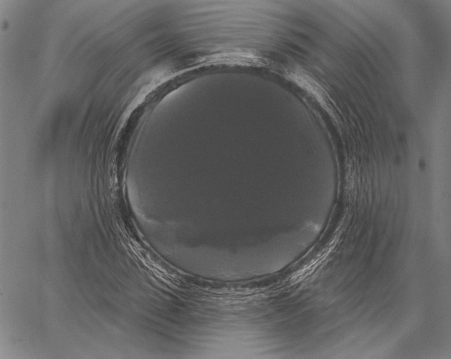 X0000067390923200604211629