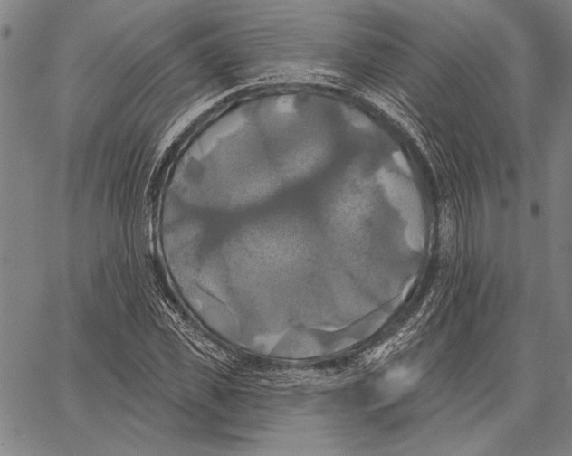 X0000067390925200604211629