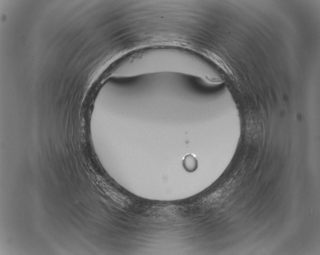 X0000067390926200604211629