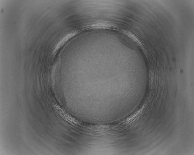 X0000067390930200604211630