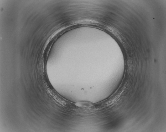 X0000067390931200604211630