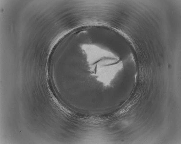 X0000067390935200604211630