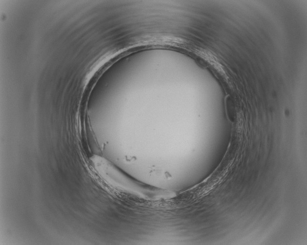 X0000067390936200604211630