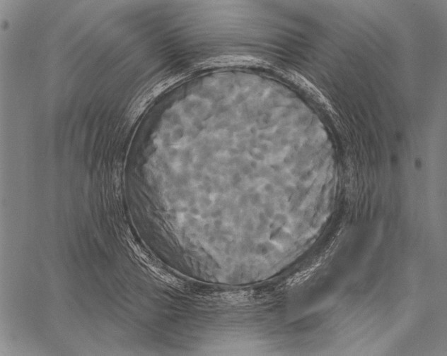 X0000067390937200604211630