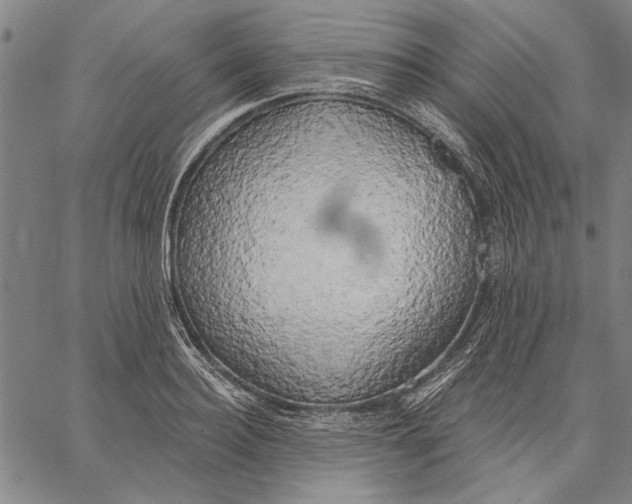 X0000067390940200604211630