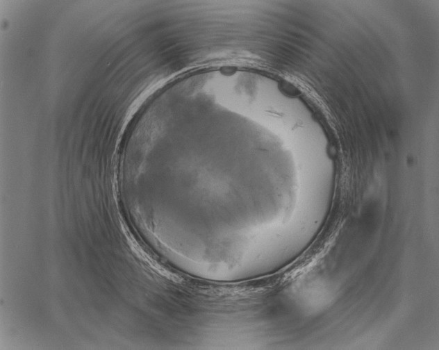 X0000067390941200604211630