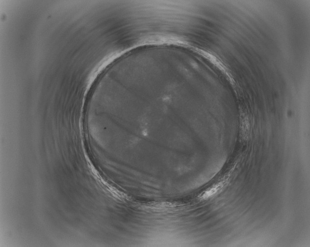 X0000067390943200604211630