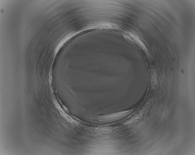 X0000067390944200604211630