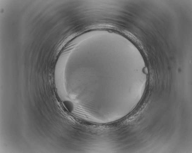 X0000067390945200604211630