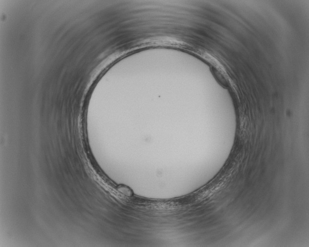 X0000067390947200604211630