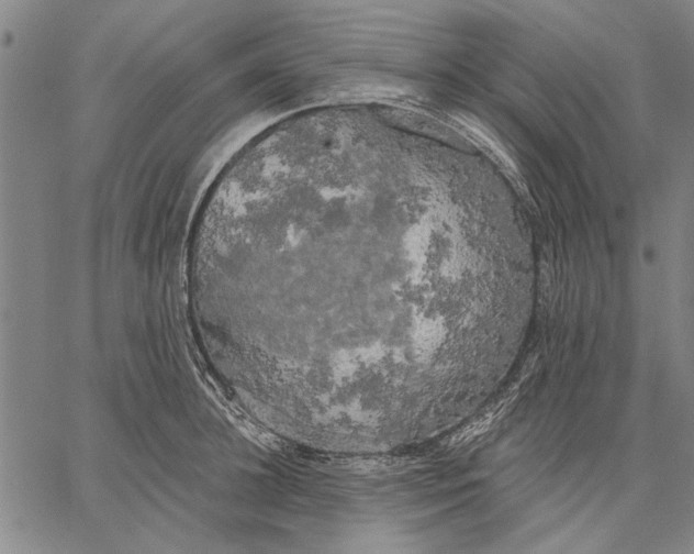 X0000067390948200604211630