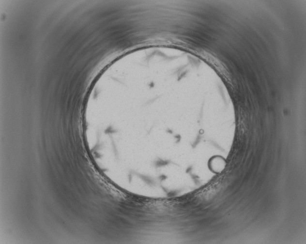 X0000067390950200604211630