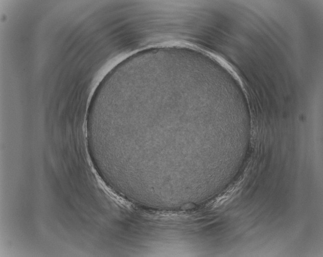 X0000067390951200604211630