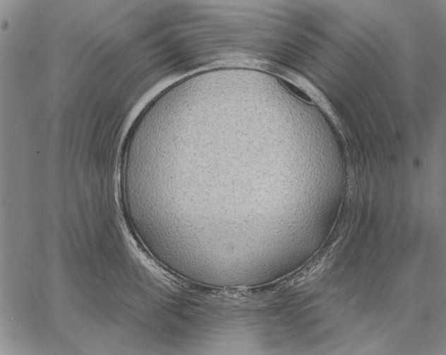 X0000067390955200604211630