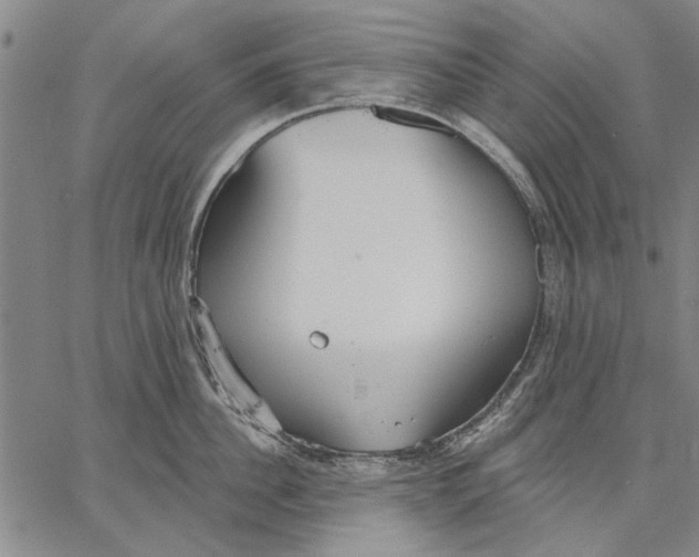 X0000067390956200604211630