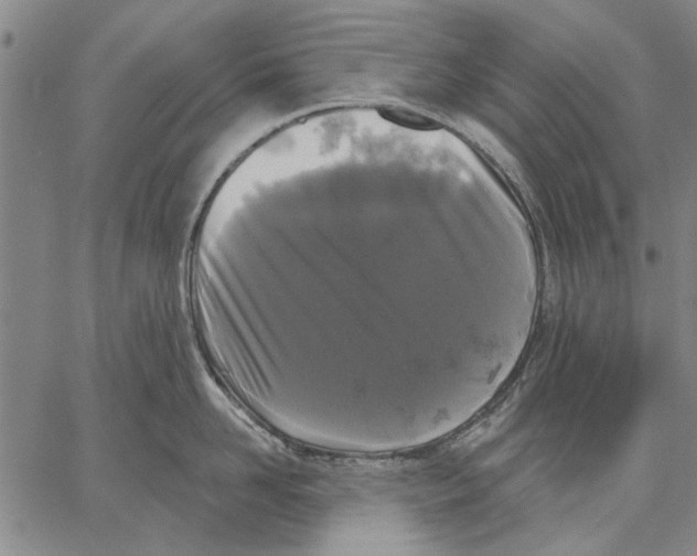 X0000067390958200604211630