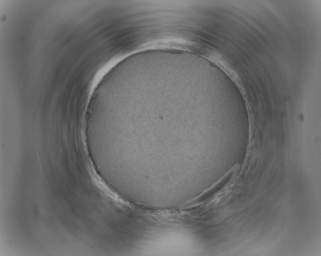 X0000067390960200604211630