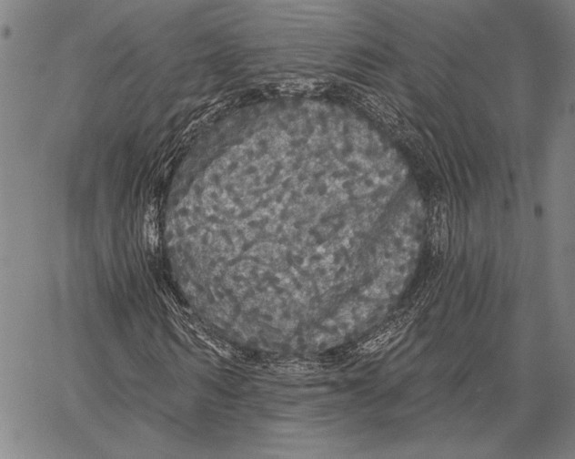 X0000067390962200604211629