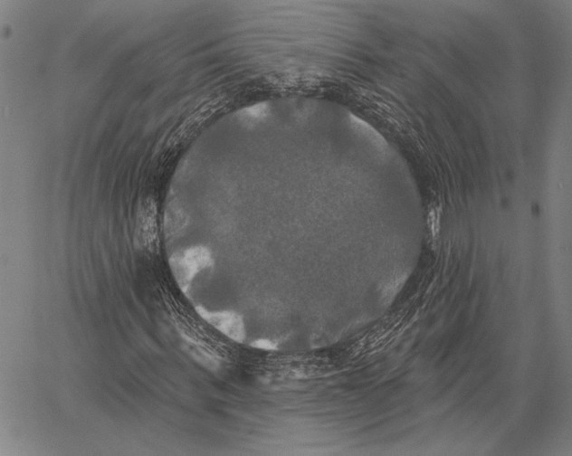 X0000067390963200604211629