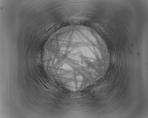 X0000067390964200604211629