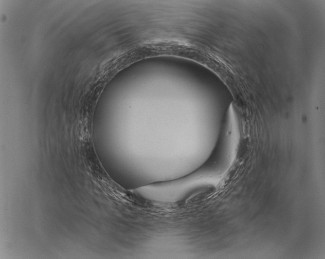 X0000067390965200604211629