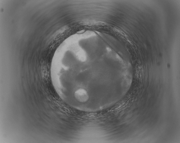 X0000067390966200604211629