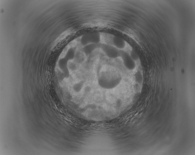 X0000067390967200604211629