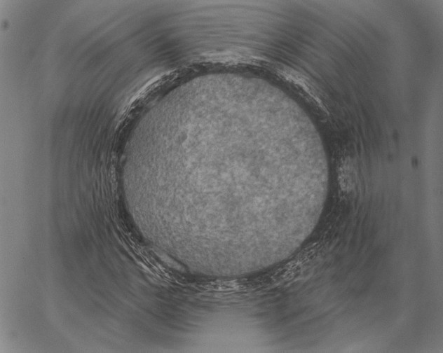 X0000067390968200604211629