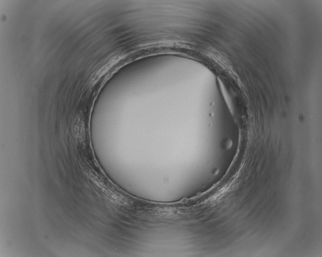 X0000067390969200604211629